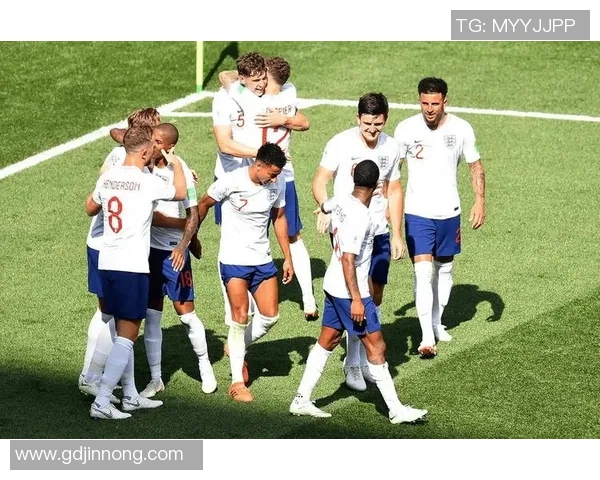 法国与英格兰足球对决数据深度分析与战术探讨