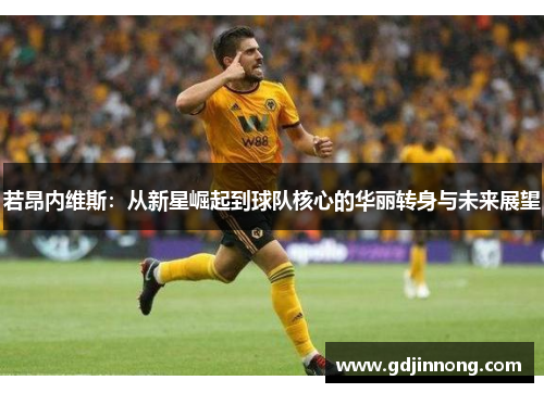 若昂内维斯：从新星崛起到球队核心的华丽转身与未来展望